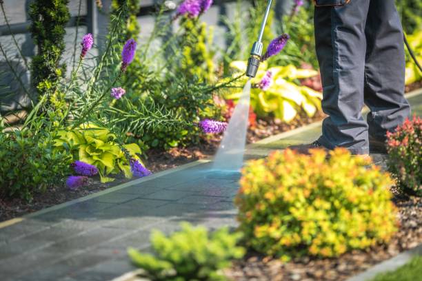Best Driveway Pressure Washing  in Basking Ridge, NJ