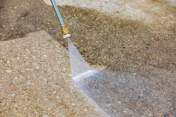 Best Animal Enclosure Cleaning  in Basking Ridge, NJ